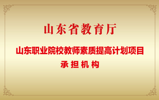 山东职业院校教师素质提高计划项...